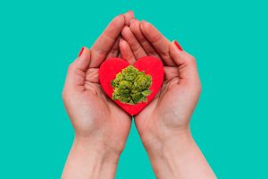 cbd y salud aceite de cbd